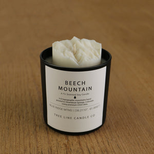 A white soy wax replica candle Beech Mountain in a round, black glass.