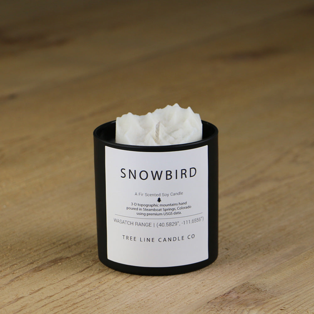  A white soy wax replica candle of Snowbird in a round, black glass.