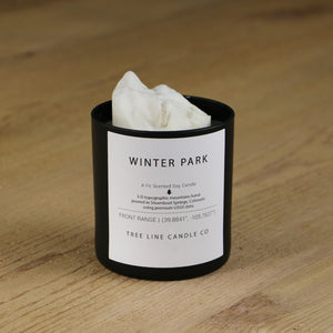  A white soy wax replica candle of Winter Park in a round, black glass.